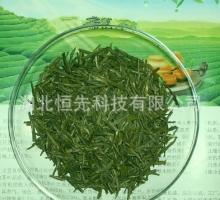 英山云霧茶